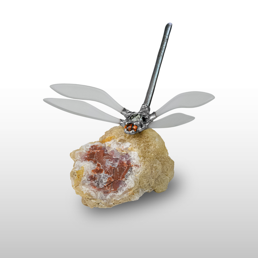 A tűz szitakötője