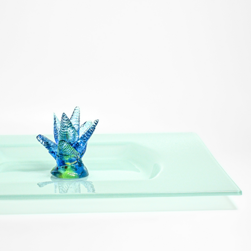 Téli kövirózsa tál