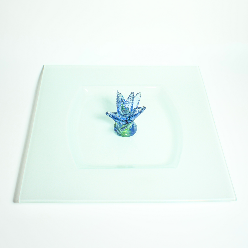 Téli kövirózsa tál