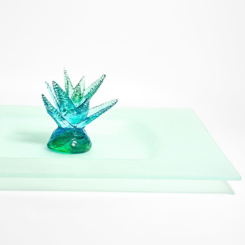 Tavaszi kövirózsa tál