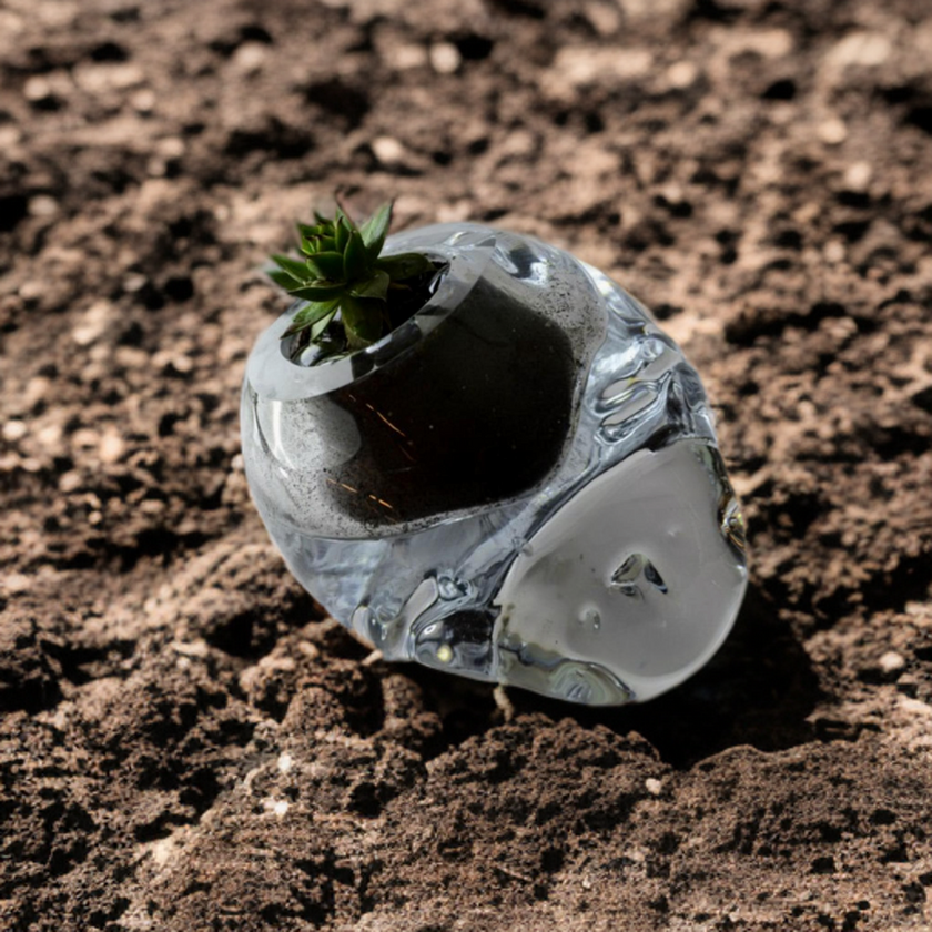 Harmatfészek kaspó