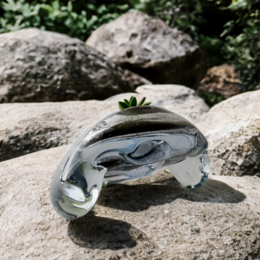 Harmatfészek kaspó