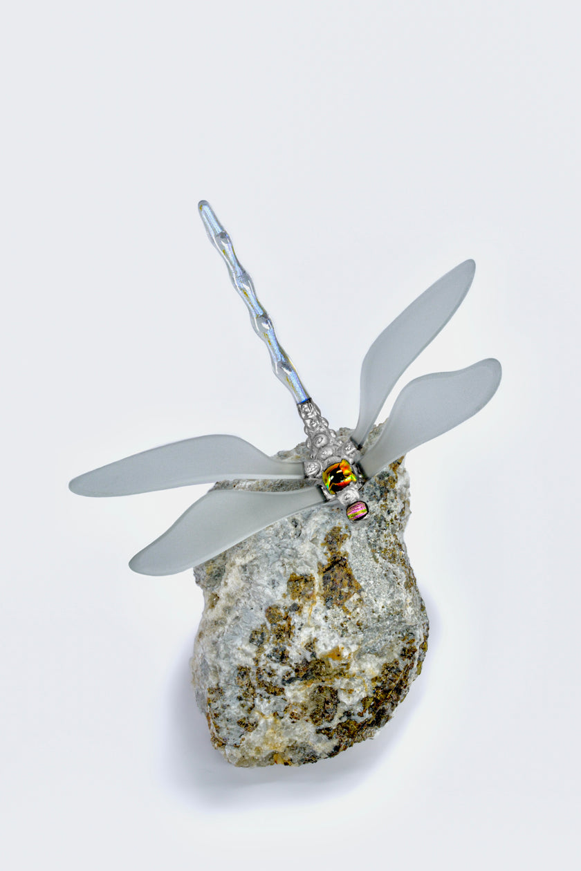 A levegő szitakötője kőzeten