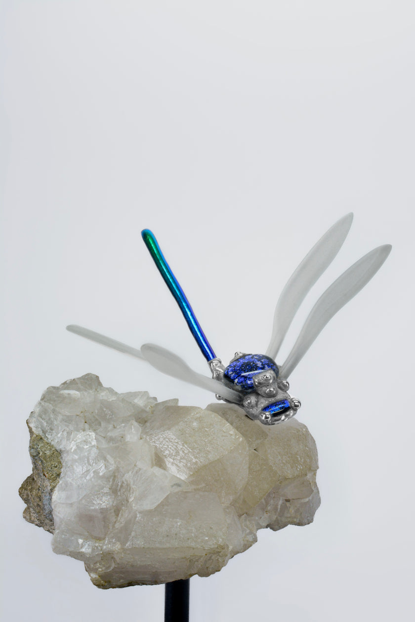 Kék szitakötő hegyikristályon