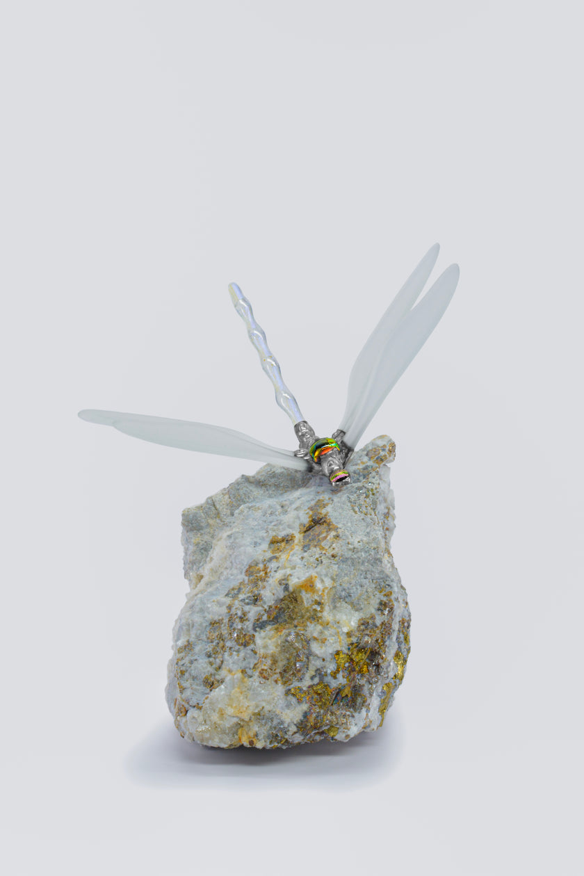 A levegő szitakötője kőzeten