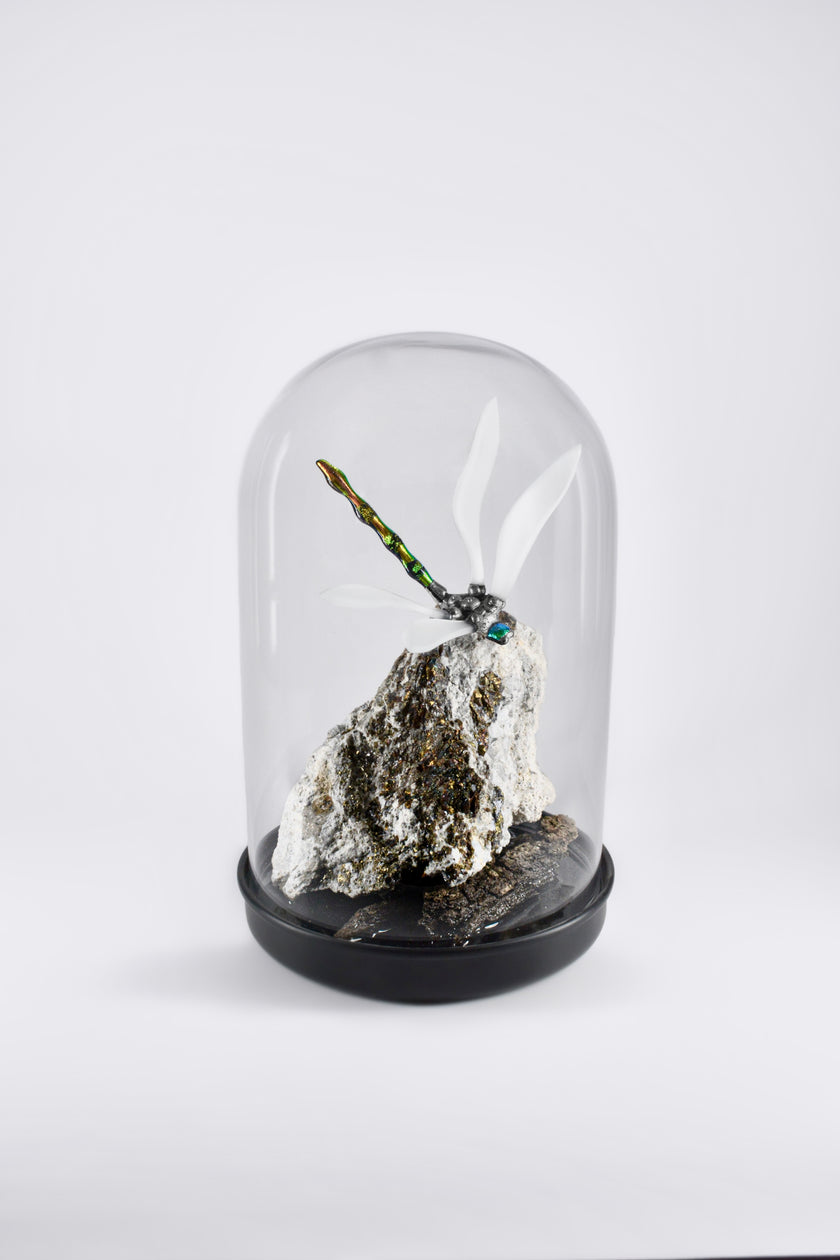 A rebbenő pillanat szitakötője kőzeten