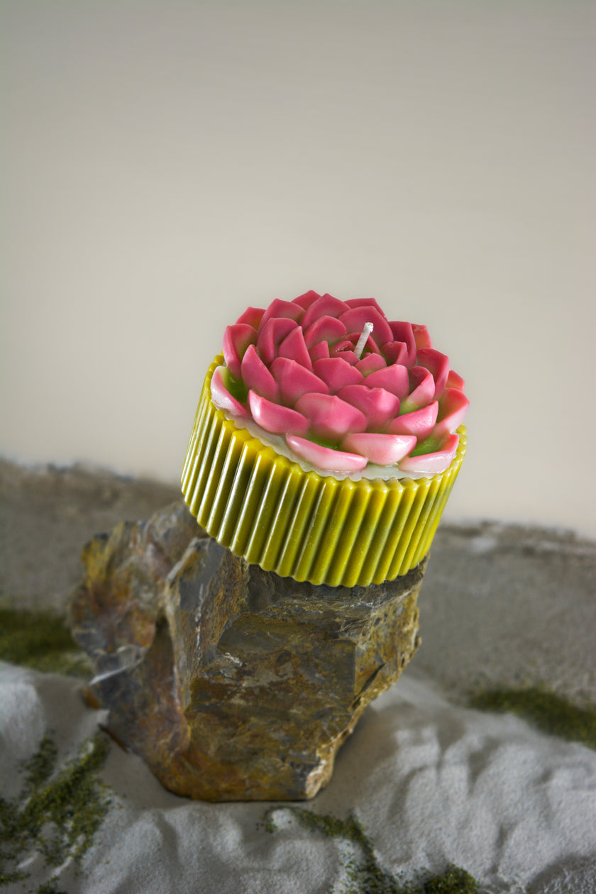 Kövirózsa gyertya - intenzív rózsaszín, zöld