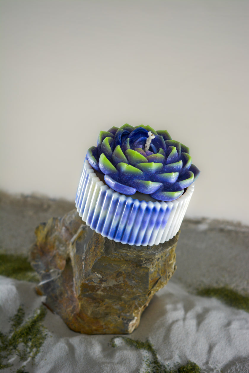 Kövirózsa gyertya - lila, zöld